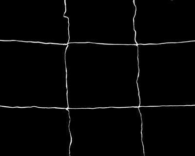 Сетка для поддержки растений Light House Trellis Netting 150x450см