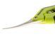 Ножницы PROCUT CURVED BLADE