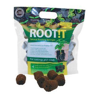 ROOT!T Natural Rooting Sponges - Натуральні спонж для пророщування (50шт в упаковці)
