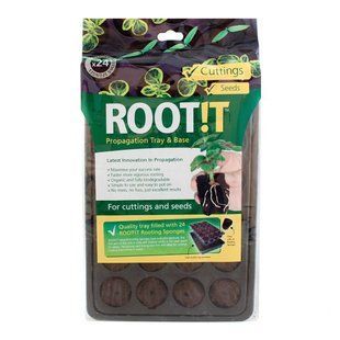 Root!t набір спонж і касета на 24 клітинки