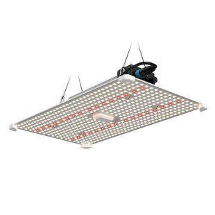 Светодиодная лампа для растений LUMII BLACK BLADE 200W
